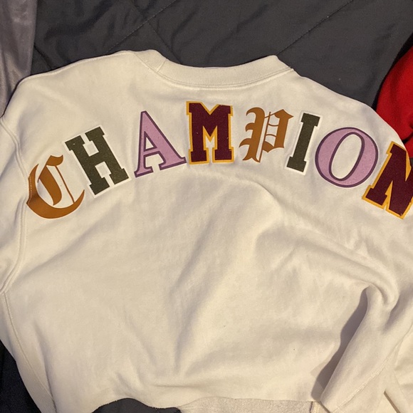 champion hoodie, size M, cream color, brand new never worn. - Picture 2 of 2
